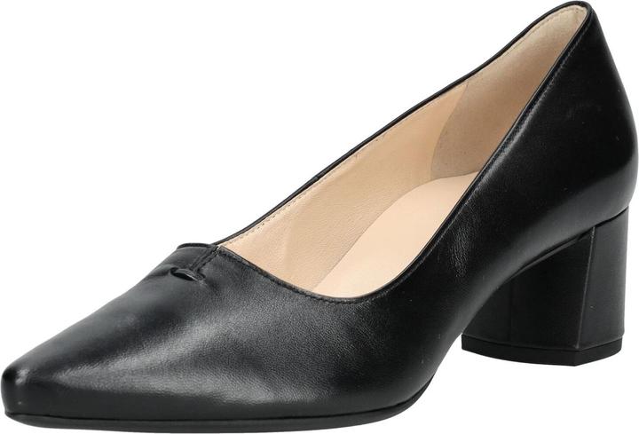 Högl Pumps (41)