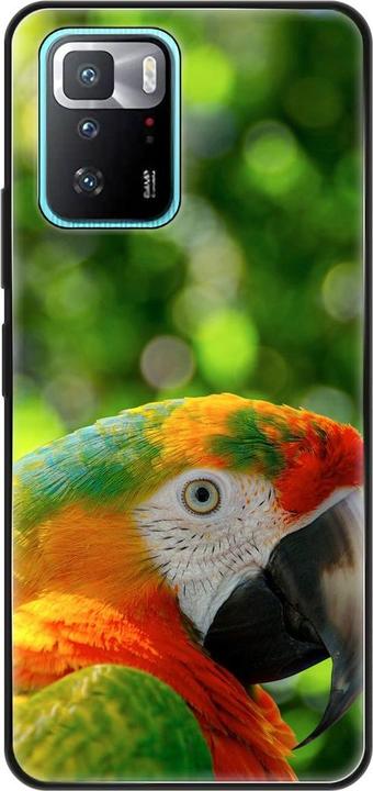 Parrot
