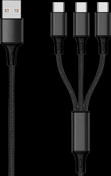 Actual product image 2GO 797156 USB cable USB B 3x USB C (1.50 m)