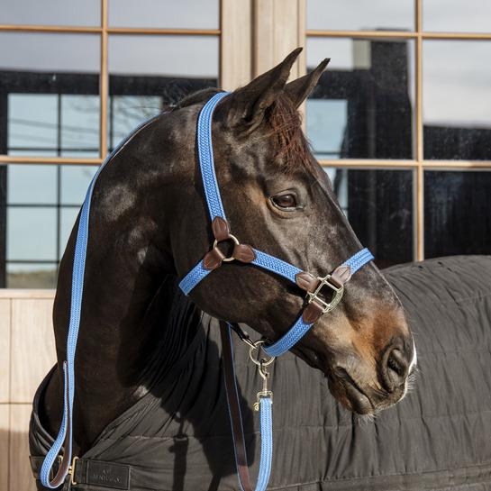 Immagine prodotto Kentucky Horsewear Cavezza per cavalli nylon intrecciata