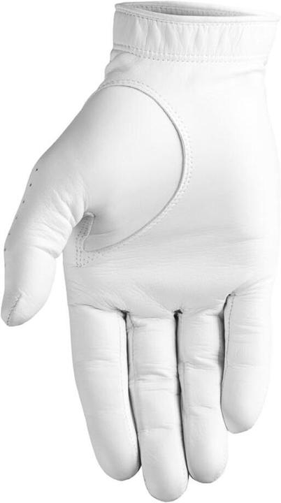 Inesis 900 (XL)