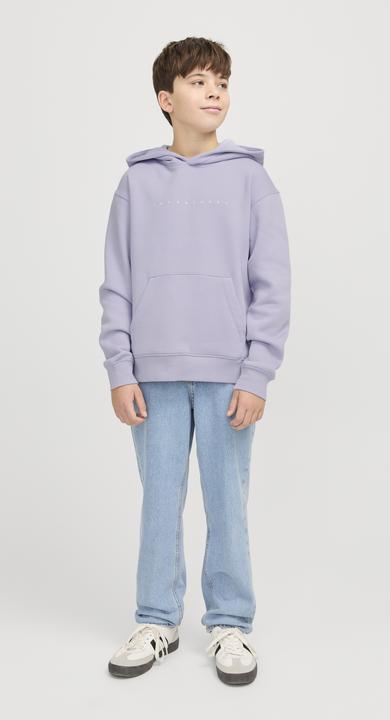 Actual product image Jack & Jones Jjestar Jj Sweat Hood Noos Jnr (128)