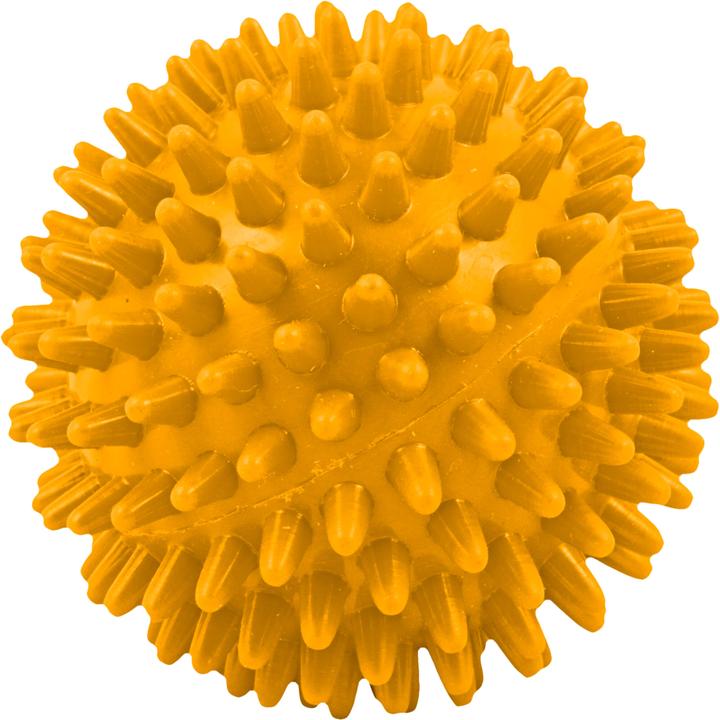 Produktbild Rehaforum Medical Igelball