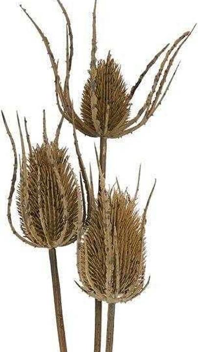 Image du produit Hill Interiors Kunstblume Dreifach (85 cm)