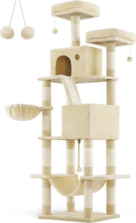 Katzenbaum