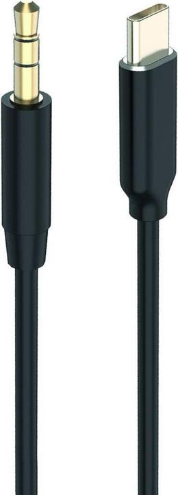 2GO 797219 Audiokabel USB type-C (1 m, USB)