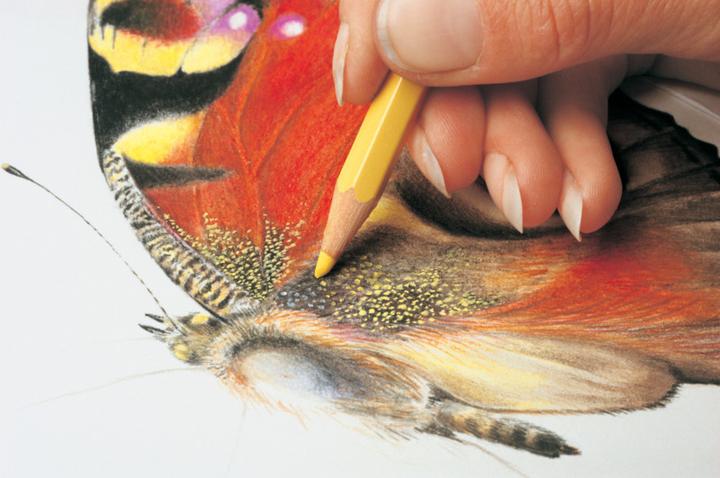 Immagine prodotto Caran d'Ache Prismalo Aquarelle Metallschachtel (Multicolore, 12 x)