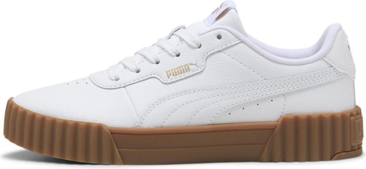 Puma Carina 3.0