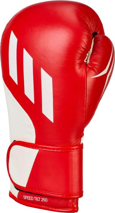Actual product image adidas Speed Tilt 250 (16 OZ, One size)