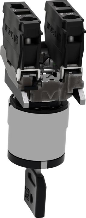 Actual product image Schneider Electric Key switch XB4-BG33