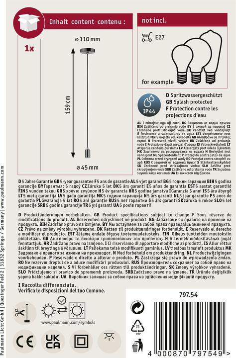 Actual product image Paulmann Larus (E27)