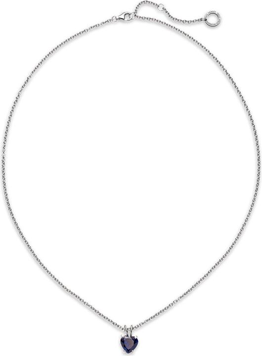 Immagine prodotto Paul Hewitt PH-JE-0147 (Acciaio, 45 - 50 cm)