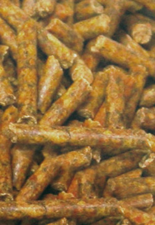 Produktbild Vet Concept Frischmöhren-Pellets - 0,5 kg