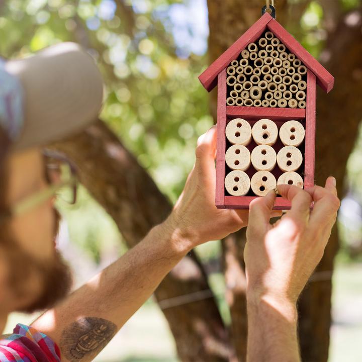 Actual product image Relaxdays Insect Hotel Assembly Kit, Bug Shelter (Wild bees, Ladybirds, Lacewings)
