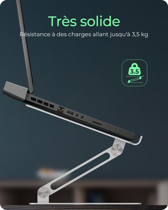 Image du produit Icy Box IB-NH300