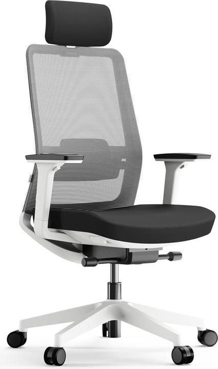 Produktbild Yaasa Chair Pro