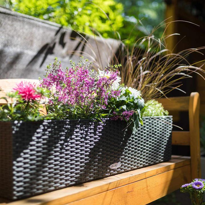Produktbild Lechuza Balconera Cottage (19 cm)