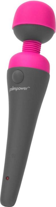 Produktbild Palmpower Massager