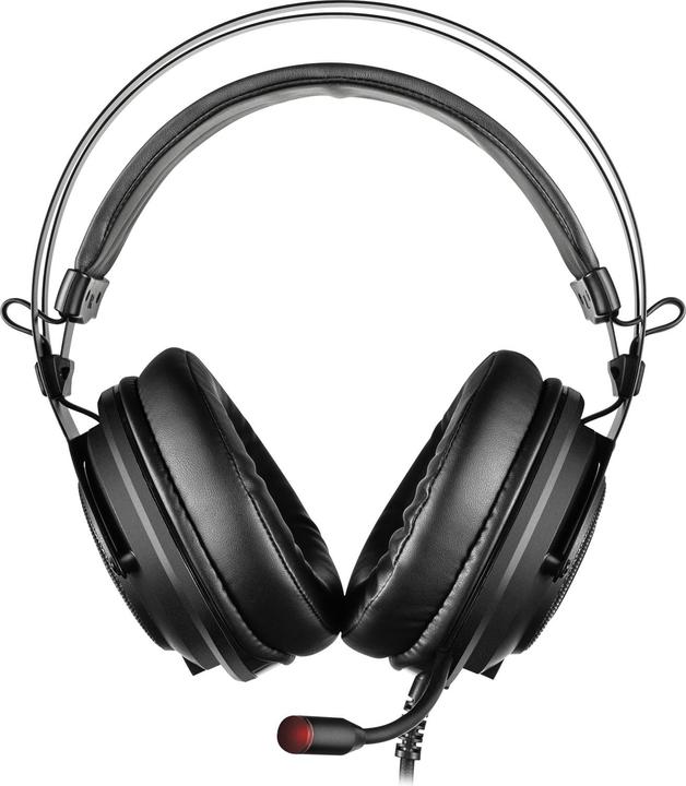 Actual product image Sandberg Dizruptor (Cable)