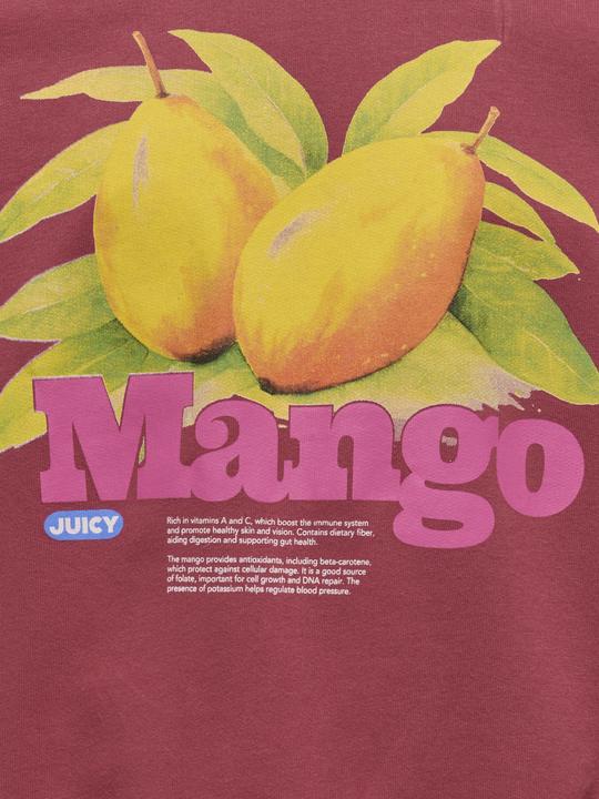 Immagine prodotto Only KOGPHILEA Sweatshirt Sweatshirt (146)
