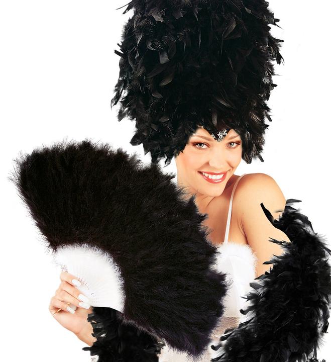 Produktbild Widmann Feder Fächer Schwarz (One Size)