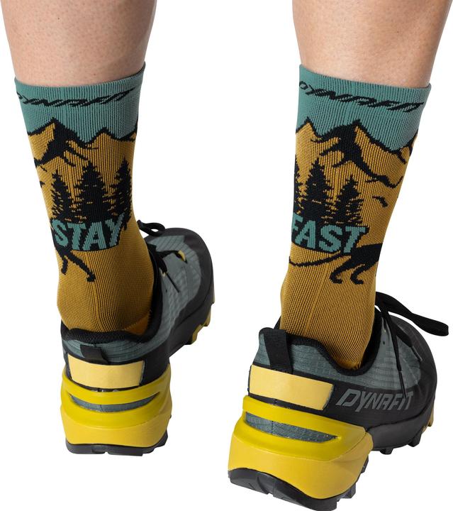 Actual product image Dynafit Stay Fast Socks (39 - 42)