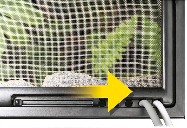 Productafbeelding Exo Terra Glazen terrarium