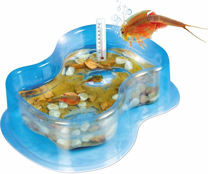 Produktbild Clementoni Wissenschaft & Spiel-Triops wachsen