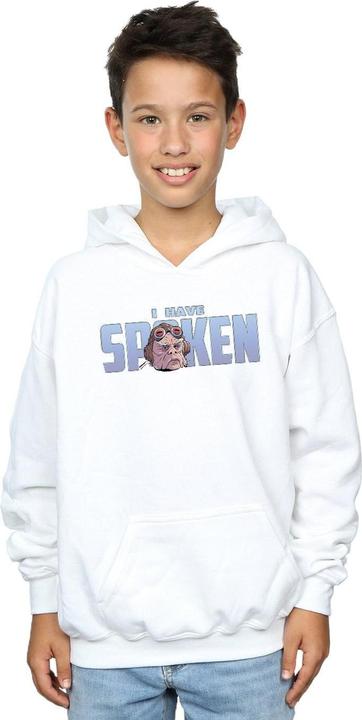 Produktbild Star Wars The Mandalorian Kuiil I Have Spoken Kapuzenpullover Jungen (116)