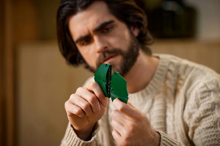 Image du produit LEGO Oiseau de Paradis (10289, LEGO difficiles à trouver)