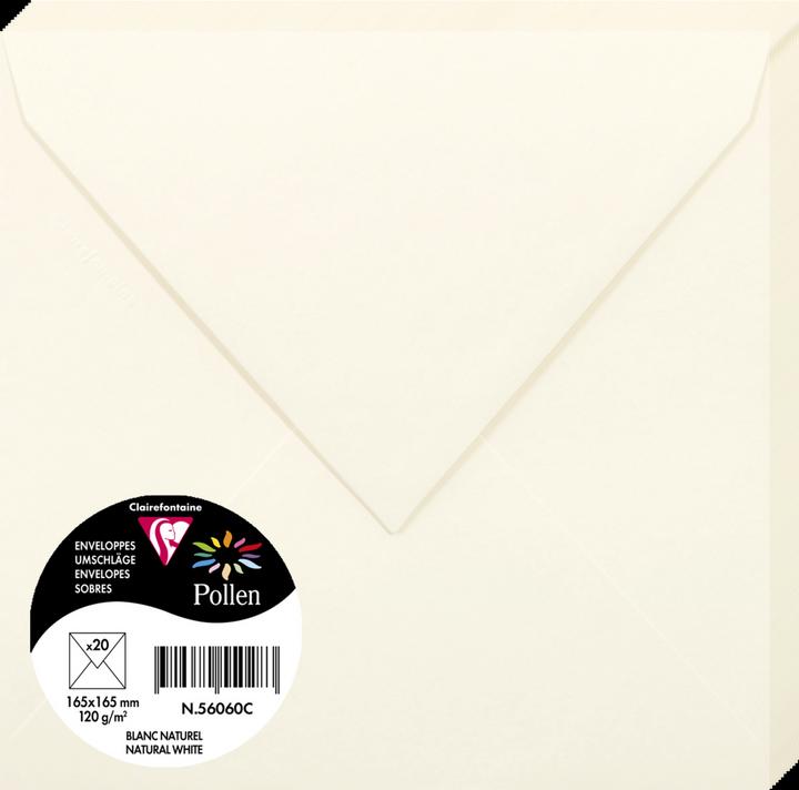Produktbild Pollen Umschläge (165 x 165 mm, 4000 x)