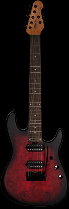 Actual product image E-Gitarre, Richardson7, Poplar Burl, Dark Scarlet Burst Satin, Tasche (Electric guitar)