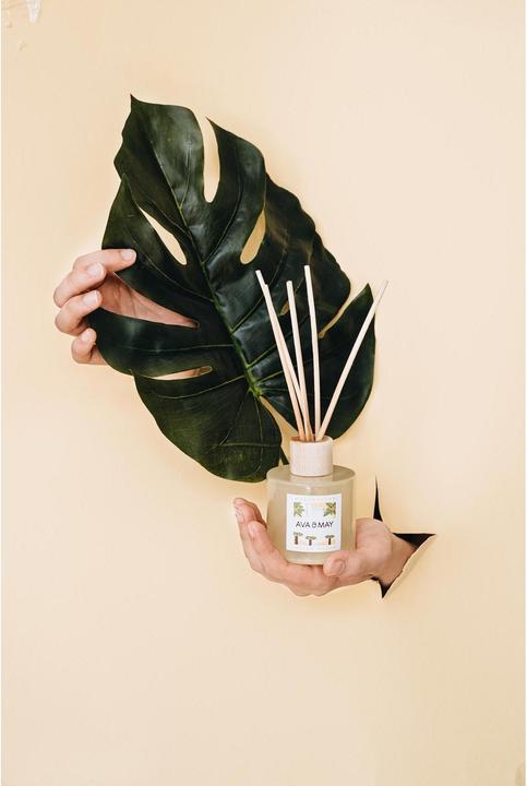 Image du produit Ava & May Encens Madagascar 100 ml (100 ml)