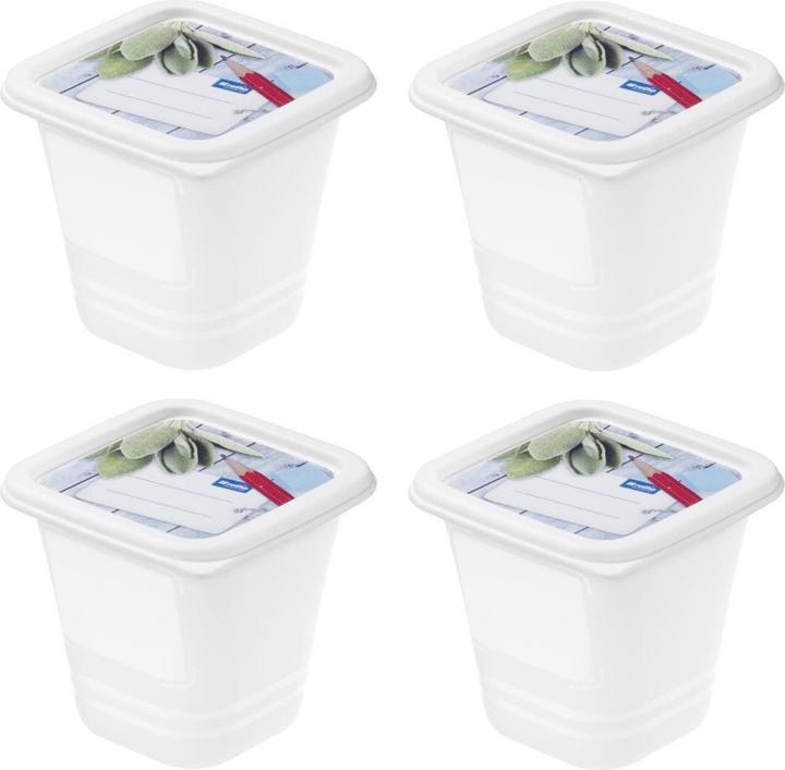 Rotho Gefrierdosen Set Domino Dekor (0.22 l)