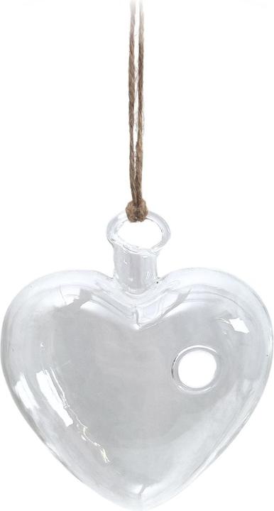 Immagine prodotto Hermex Vaso di vetro appeso (1 x, 11,5 x 4,5 x 10 cm)