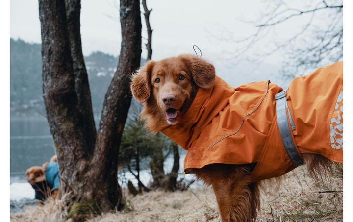 Image du produit Hurtta Manteau Monsoon Imperméable (20, XXS, XS, Imperméable pour chien)