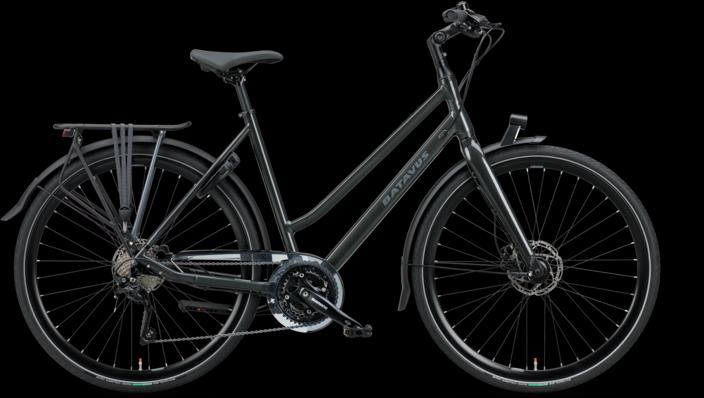 Actual product image Batavus Dinsdag Sport 30 (57 cm)