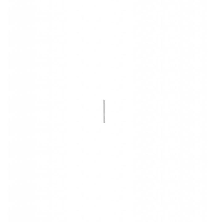 Immagine prodotto APC PDU AP7554, Striscia di presa di base