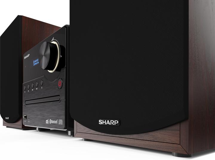 Immagine prodotto Sharp XL-B517BR (Multisala, Bluetooth, 2x 45 W)