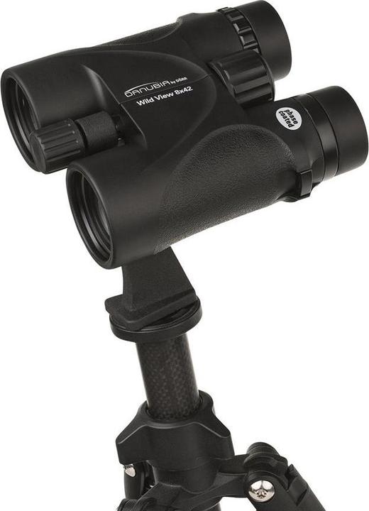 Actual product image Dörr Binoculars Wildview 8x42 black (8 x, 42 mm)