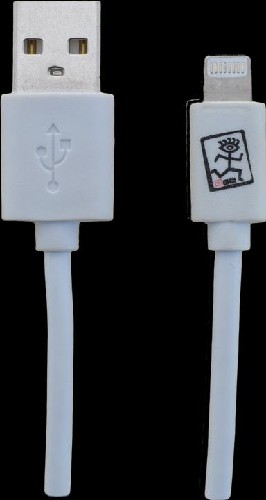 Immagine prodotto 2GO 795781 Cavo USB USB B Lightning (1 m, USB 3.2 Gen 2)