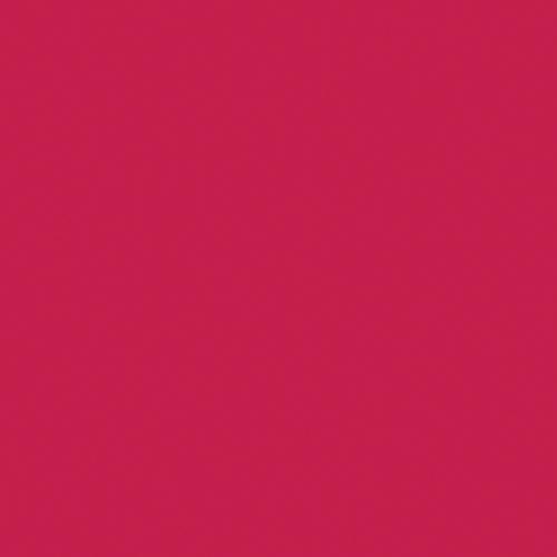 Actual product image Naj Oleari Creamy Delight Lipstick 16 Raspberry 4.2g (16)