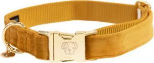 Produktbild Kentucky Dogwear Hundehalsband velvet (L, Hund, Hundesport)