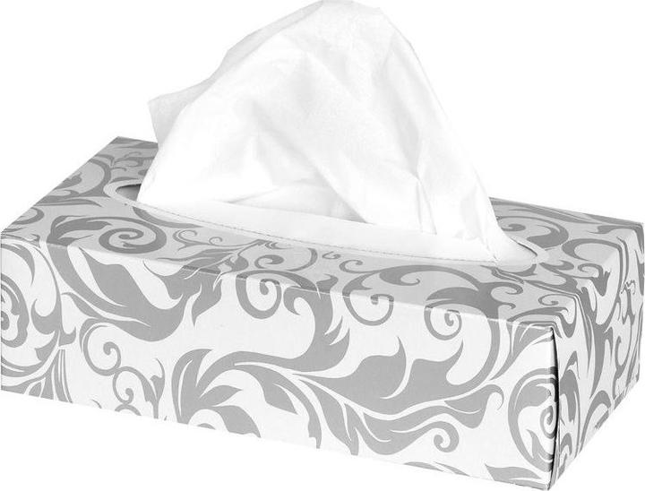 Actual product image Wepa Cosmetic tissues soft 2-ply 30x 150 box