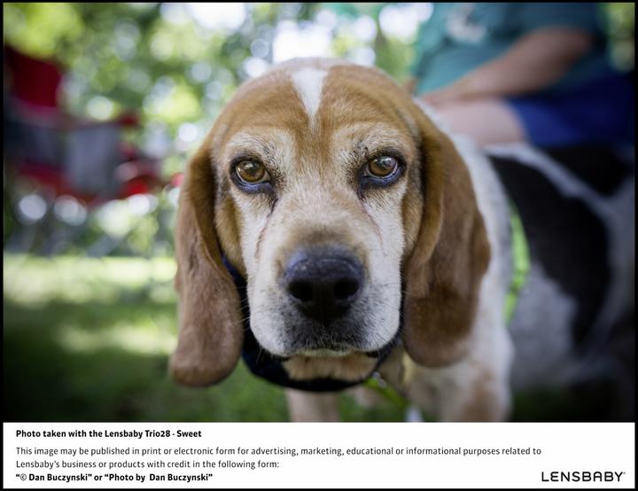 Actual product image Lensbaby Trio 28 Nikon Z (Nikon Z, APS-C / DX, full size, Micro Four Thirds)
