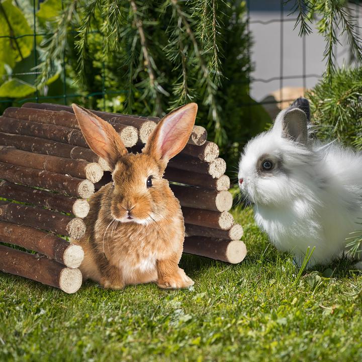 Image du produit Relaxdays Pont pour rongeurs en bois