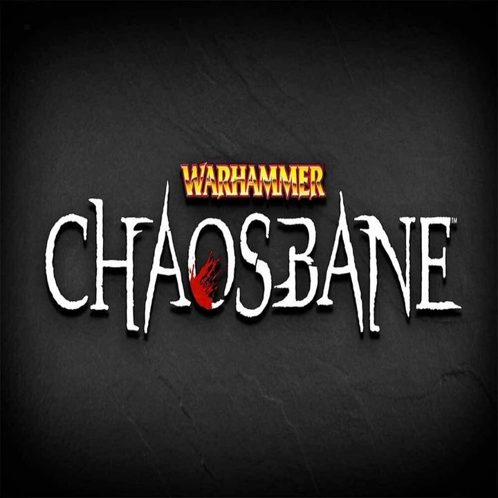 Bigben WARHAMMER: CHAOSBANE (PS4) Standard PlayStation 4 (PS4, EN)