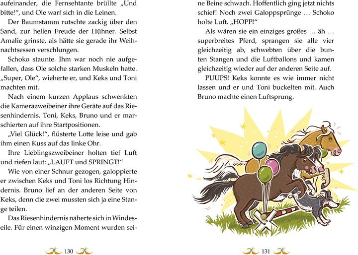Produktbild Die Haferhorde - Hopp, hopp, hurra! - Band 6 (Deutsch, Suza Kolb, 2016)