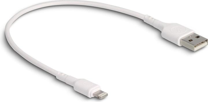 Produktbild Delock USB A – Lightning (0.30 m, USB 2.0)