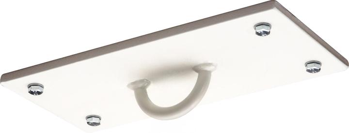 Sport-Thieme Deckenplatte mit Halbring